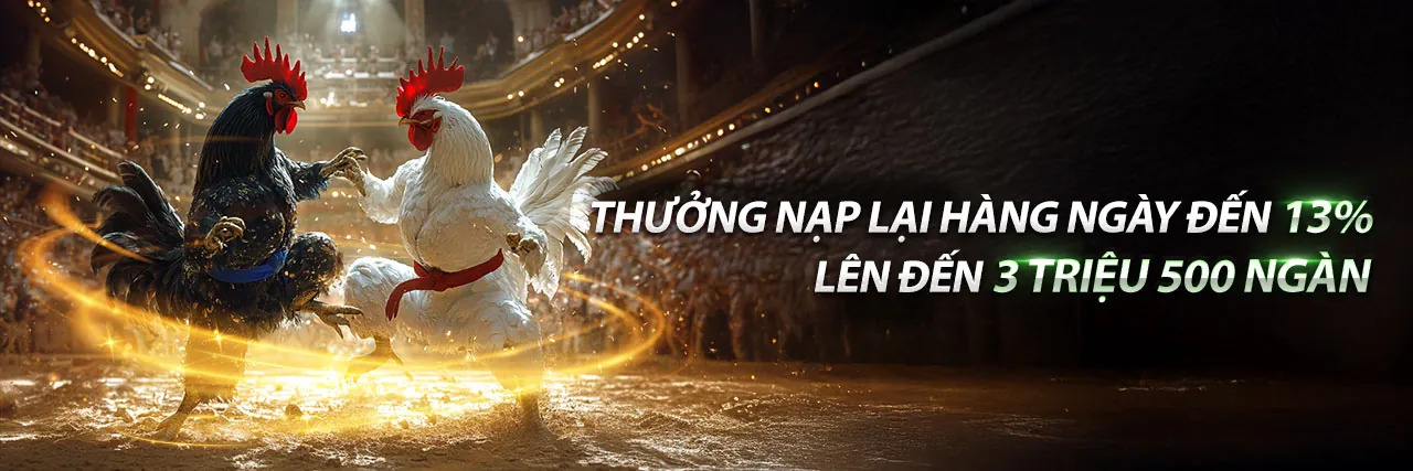 Sân vận động với giao diện cá cược thể thao vina88 win